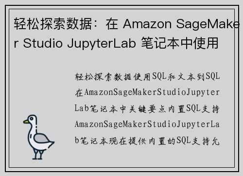 轻松探索数据：在 Amazon SageMaker Studio JupyterLab 笔记本中使用