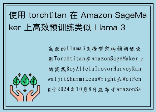 使用 torchtitan 在 Amazon SageMaker 上高效预训练类似 Llama 3 